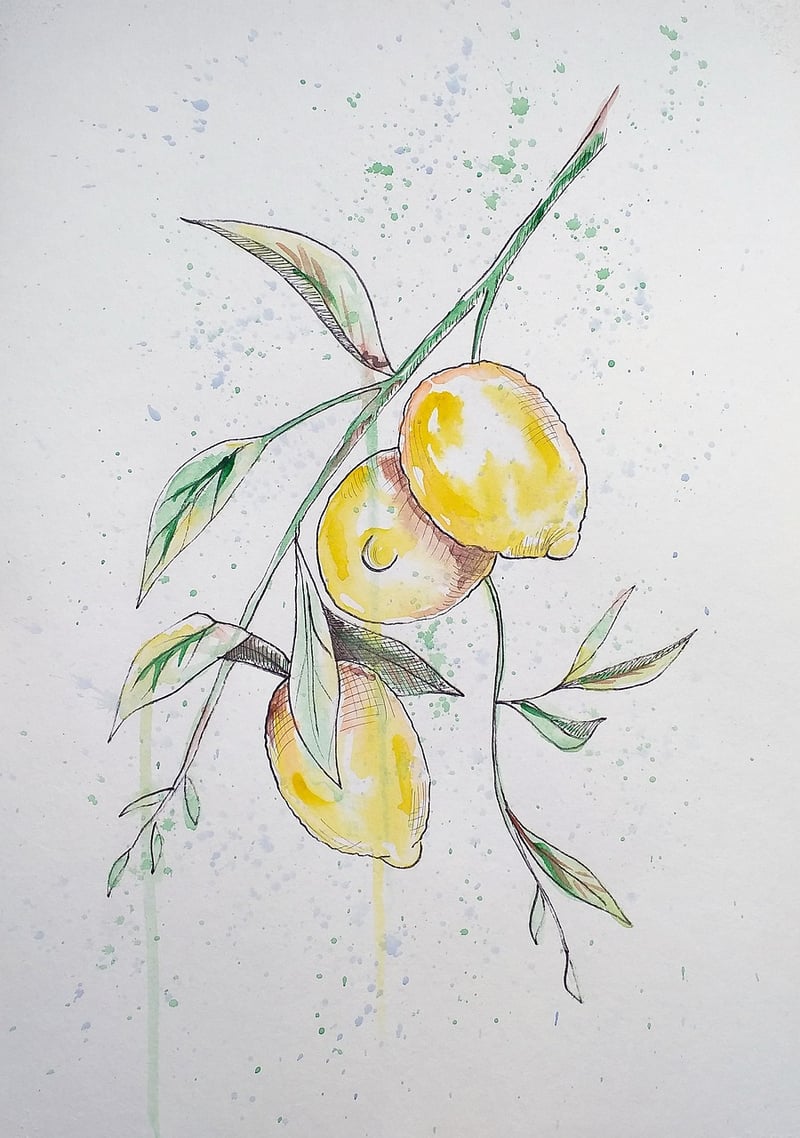Botanical Sketches