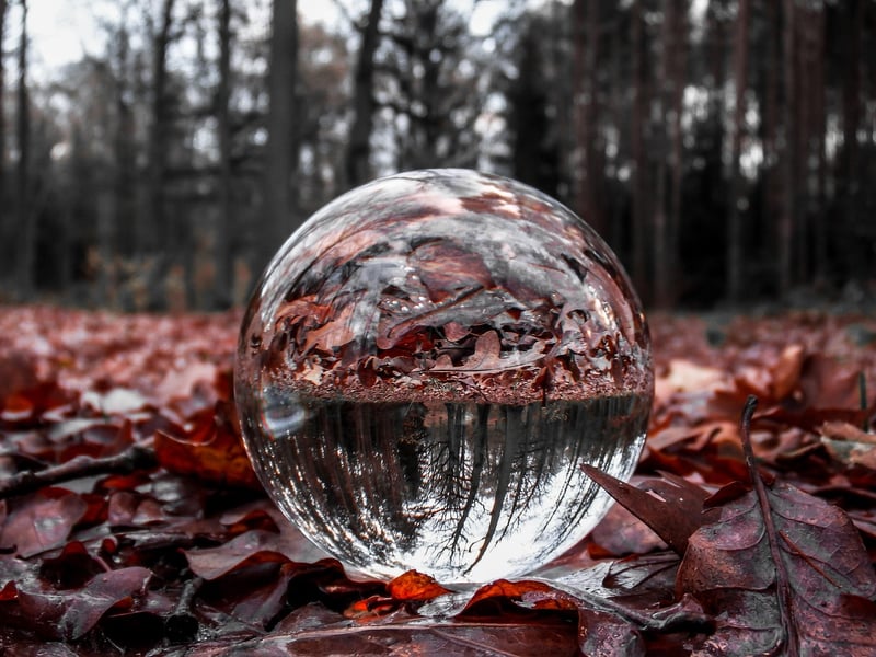 Nature-inspired Leaves